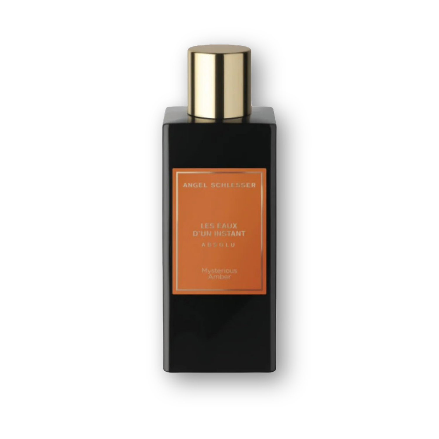Angel Schlesser les Eaux D'un Instant Absolu Mysterious Amber EDP 100ml
