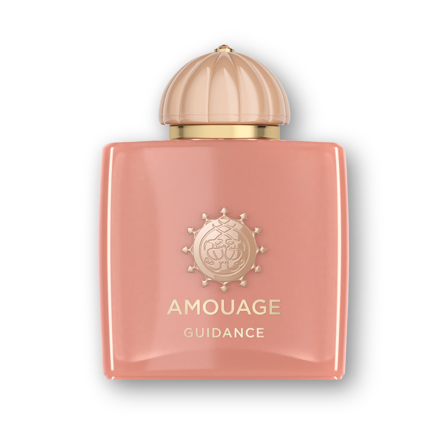 Amouage Guidance EDP 100ml
