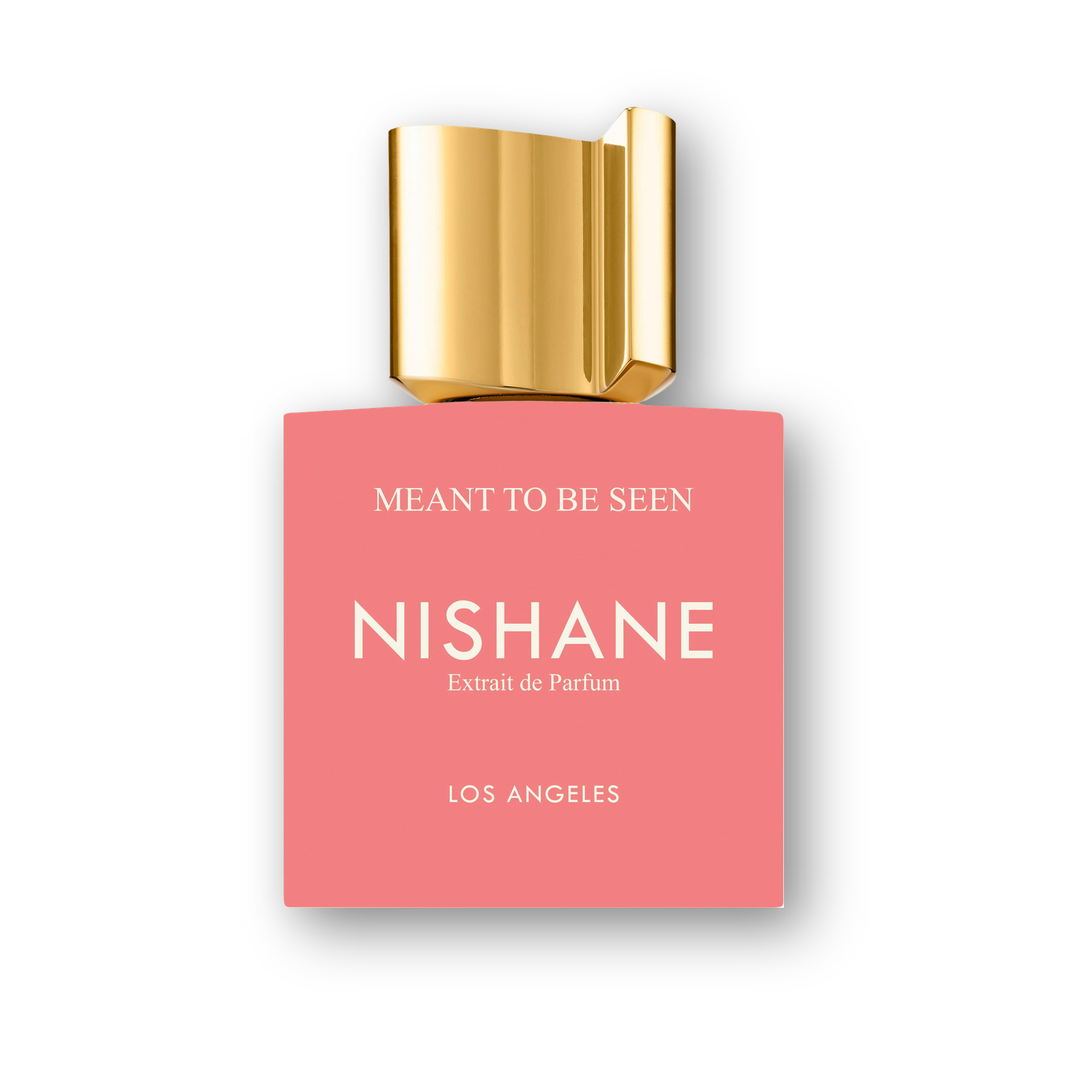 Nishane Meant To Be Seen Extrait de Parfum 15ml
