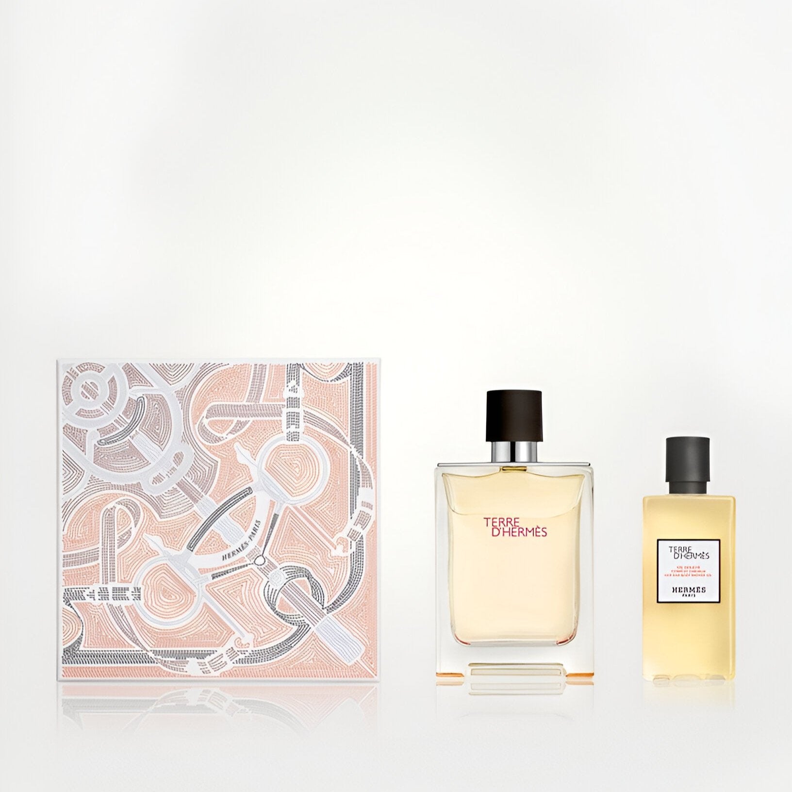 Hermes Terre d'Hermes For Men EDT Shower Gel Set