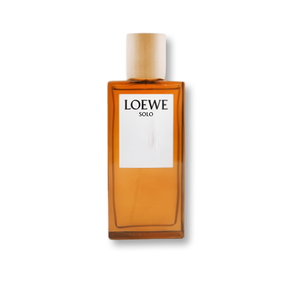 Loewe Solo Pour Homme EDT 100ml