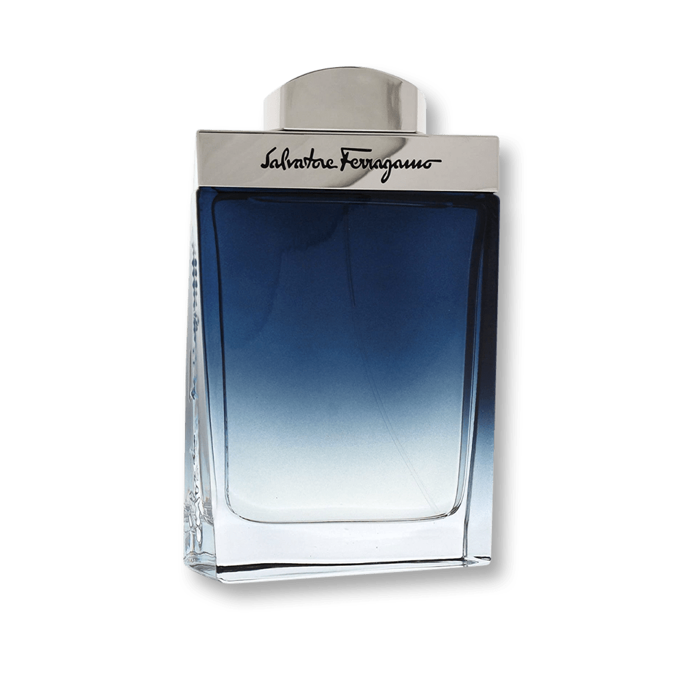 Salvatore Ferragamo Subtil Pour Homme EDT